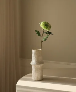 Botané Dahlie Semi-Cactus Blume