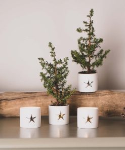 Alternative view of Sternenlichtlein (2er-Set)