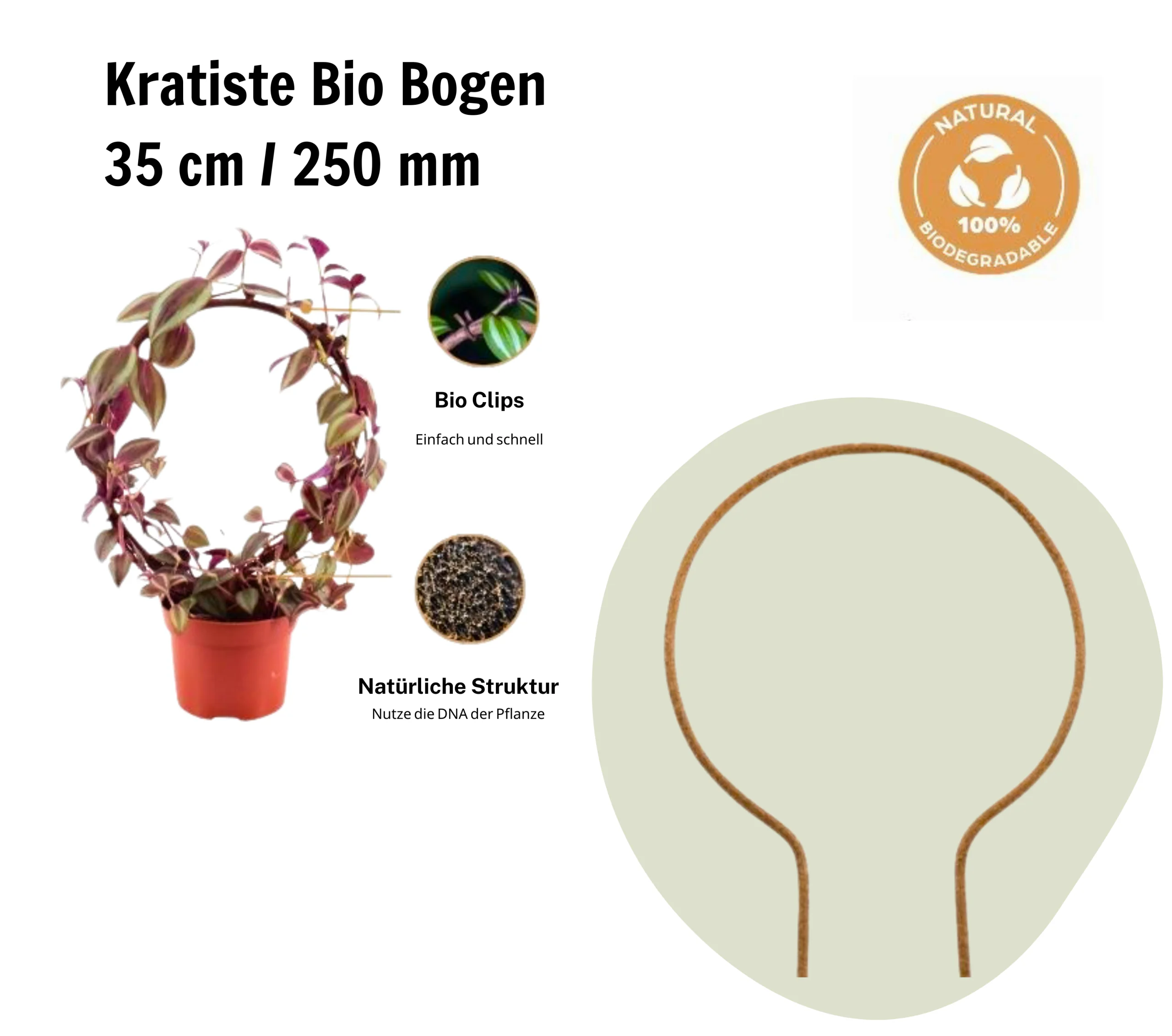 Kletterhilfe Pflanzen Bogen – Kratiste Bogen für natürliches Wachstum – Bild 2