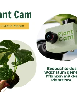 Zeitraffer Pflanzenwachstum sichtbar machen – Weitwinkel-Linse & Gratis Pflanze