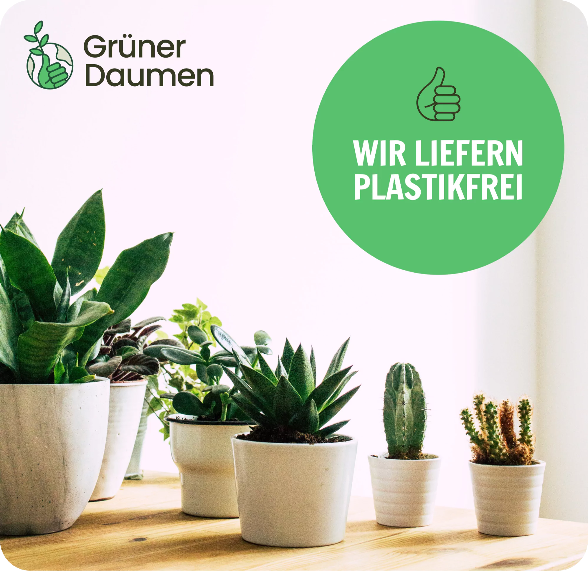 🌶️ Chili Willi – Blumentopf rot 🌶️ – Bild 7